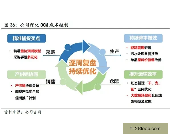 欧协联赛程深度解析与实战指南助你精准把握走势数据模型预测策略全解